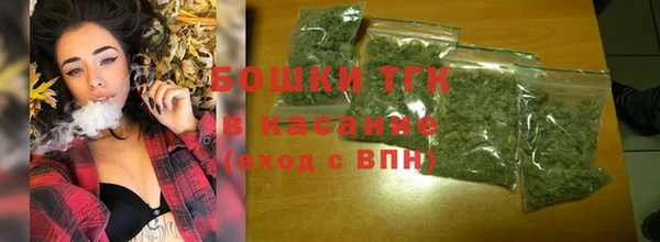 индика Армянск
