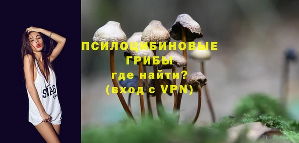 индика Армянск