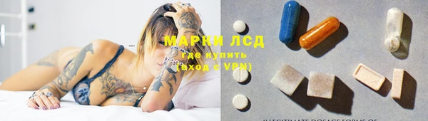 спиды Аркадак