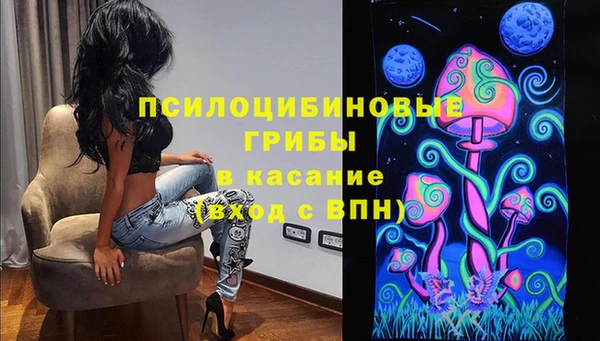 индика Армянск
