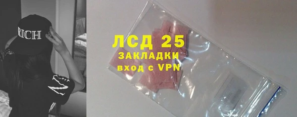 спиды Аркадак