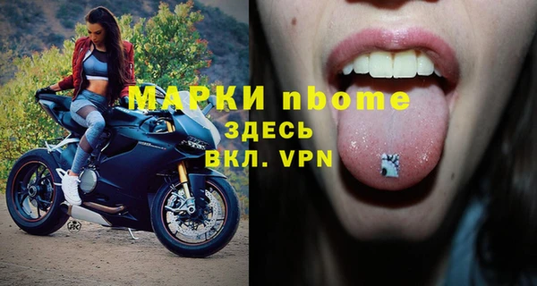 индика Армянск