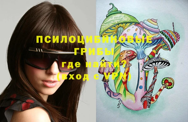 индика Армянск