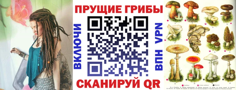 Купить  Стародуб  Псилоцибиновые грибы Magic Shrooms 