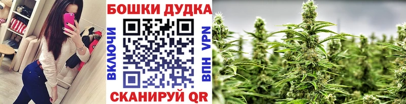 Шишки марихуана THC 21%  Купить закладки  Стародуб 